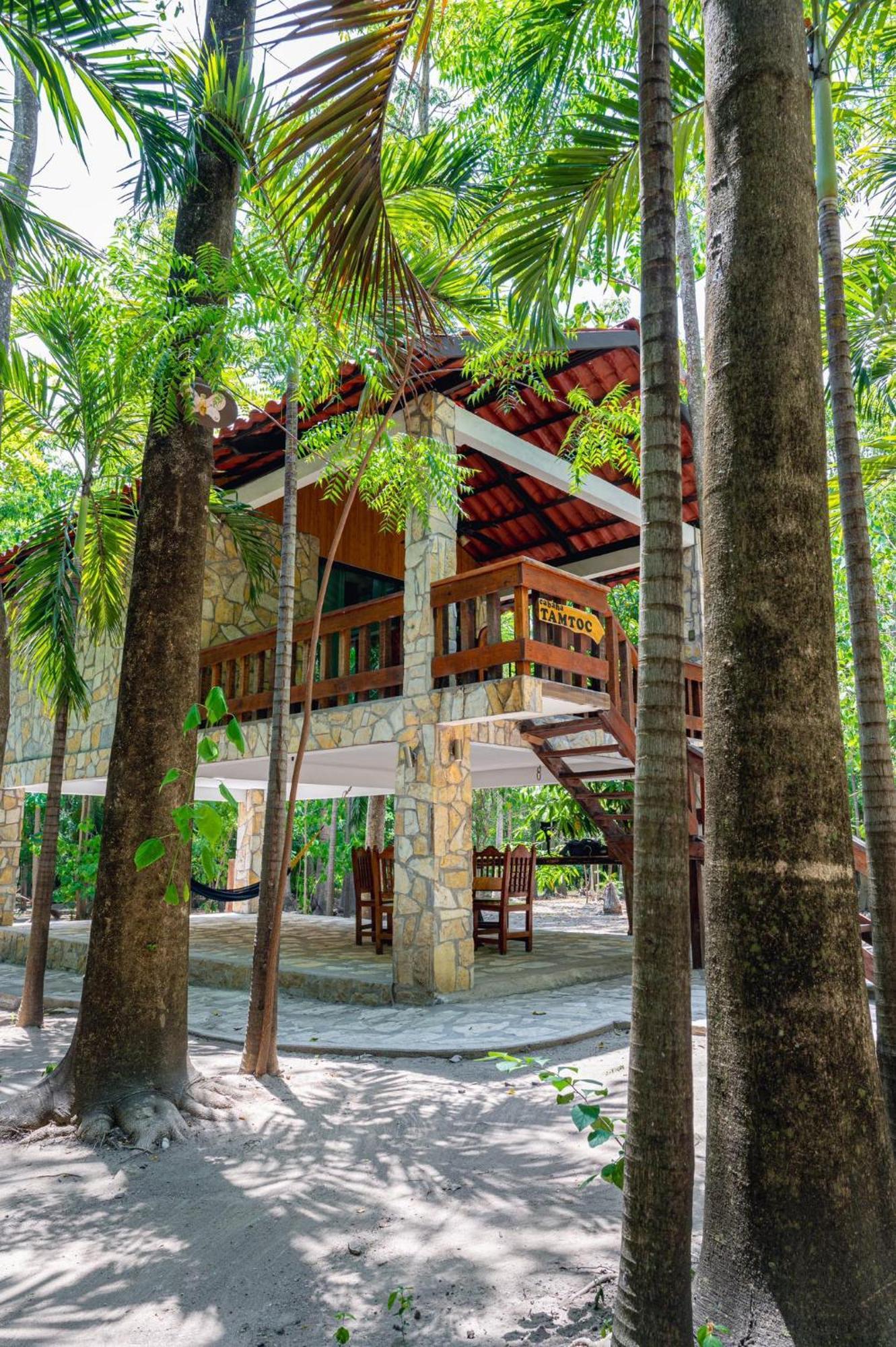 Cabanas Bosque Tantocob Сьюдад-Вальес Экстерьер фото
