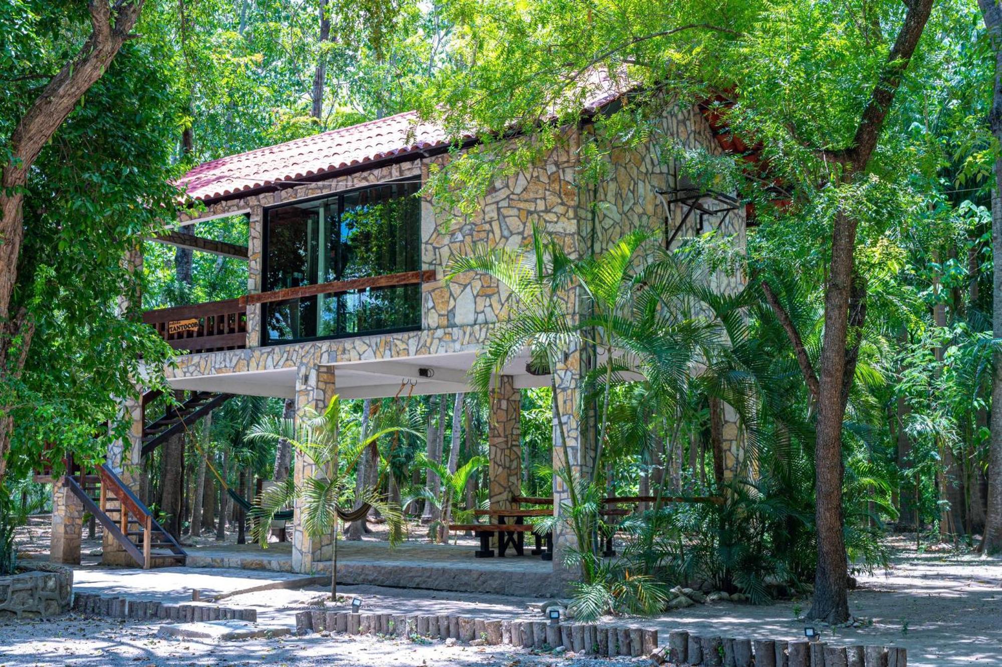 Cabanas Bosque Tantocob Сьюдад-Вальес Экстерьер фото